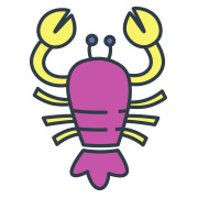 สีมงคลเสริมดวง