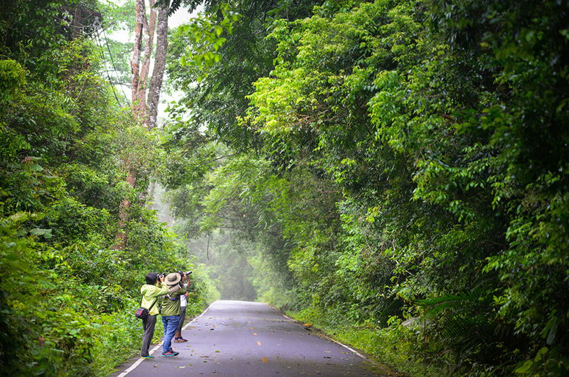 ที่เที่ยว 3 วัน 2 คืน เขาใหญ่