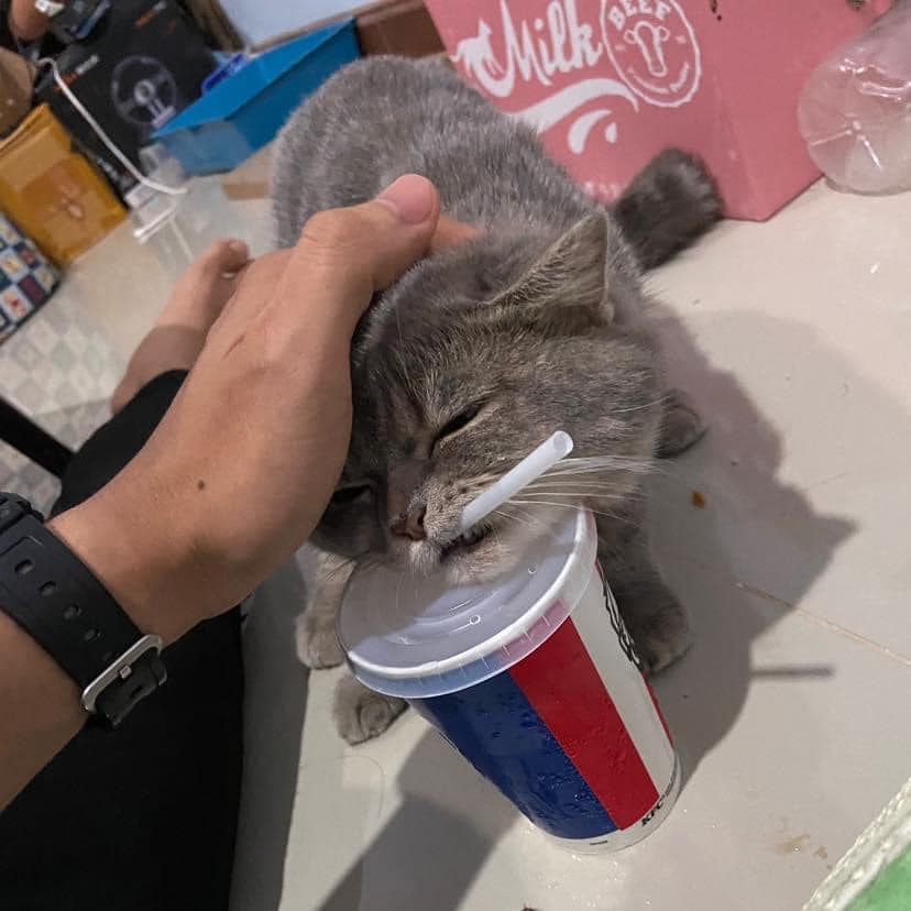 ขโมยหลอด