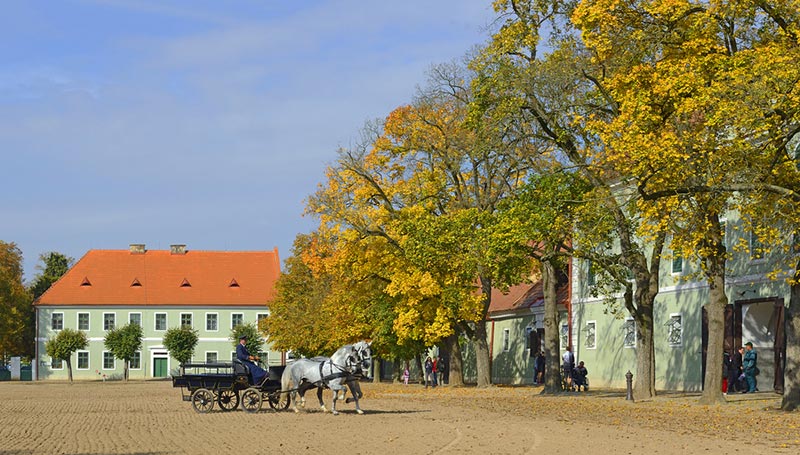 World Heritage Sites 2019