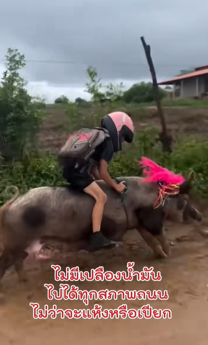 ไปโรงเรียน