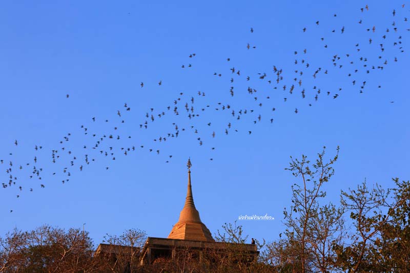 วัดเขาช่องพราน