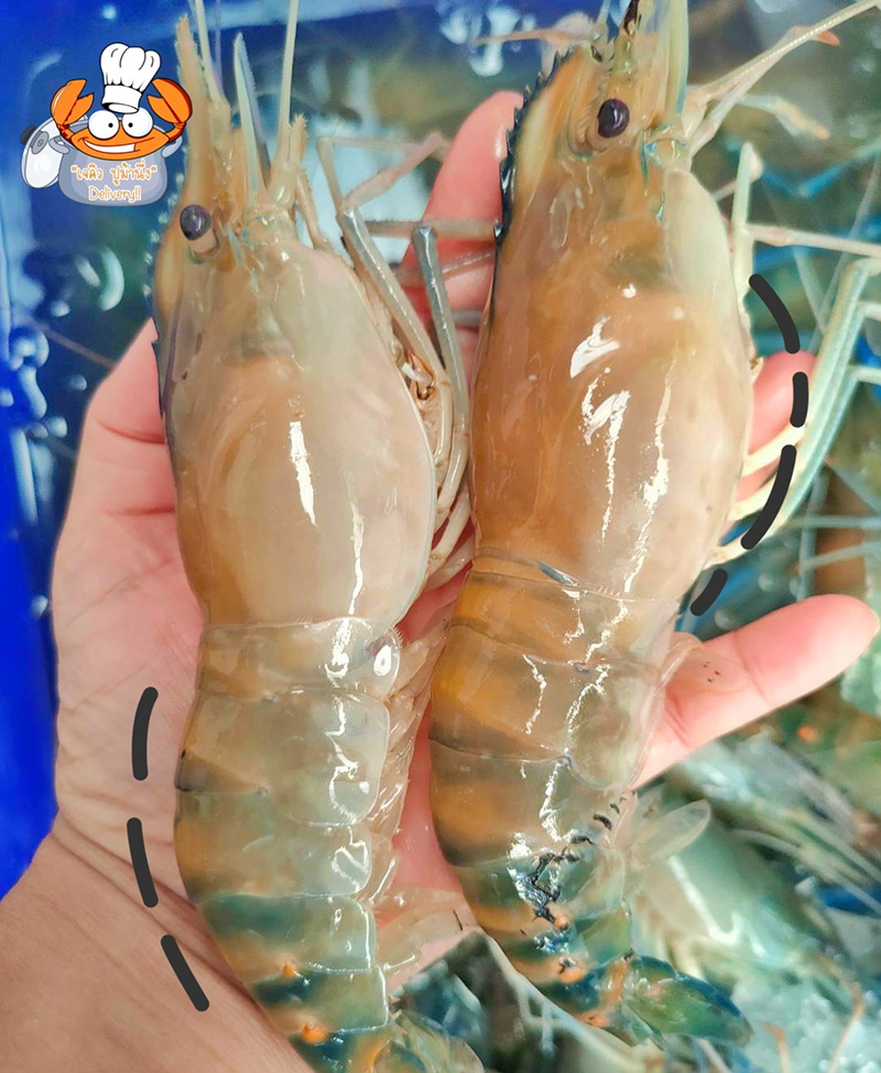 ร้านอาหารทะเลสด