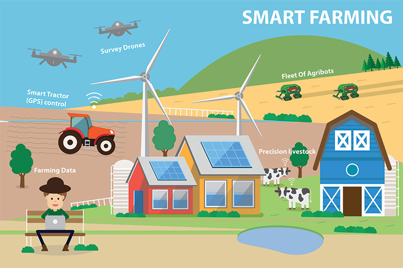 นวัตกรรมสร้างรอยยิ้ม