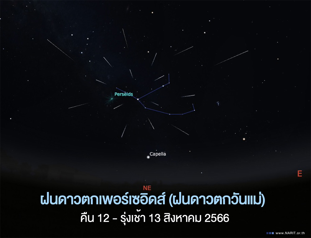 ฝนดาวตกเพอร์เซอิดส์