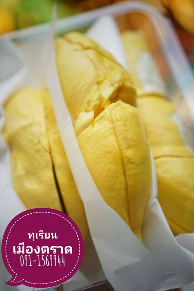 สวนผลไม้ตราด