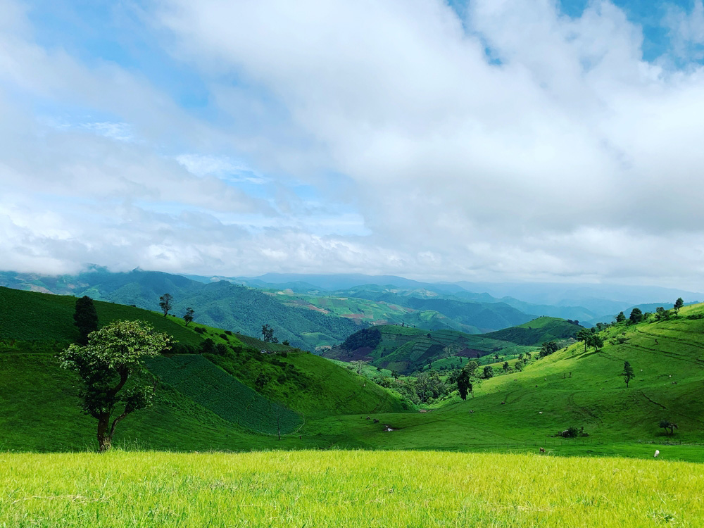 ที่เที่ยวเชียงใหม่