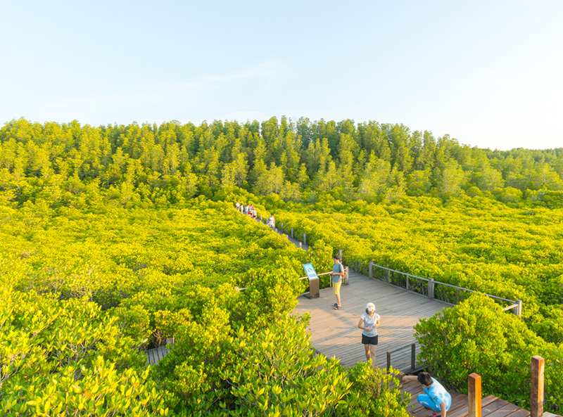 ที่เที่ยว Google Trend