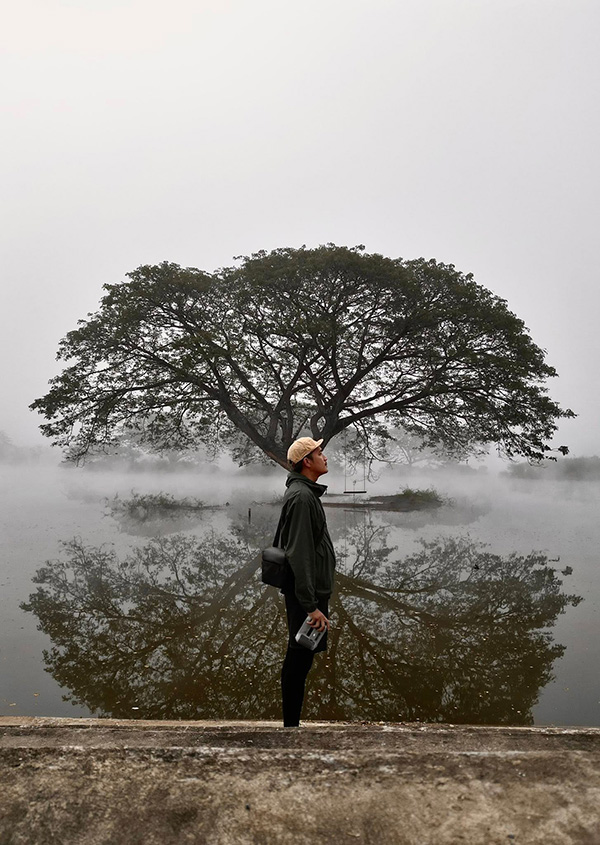 หนองน้ำครก น่าน ต้นจามจุรี