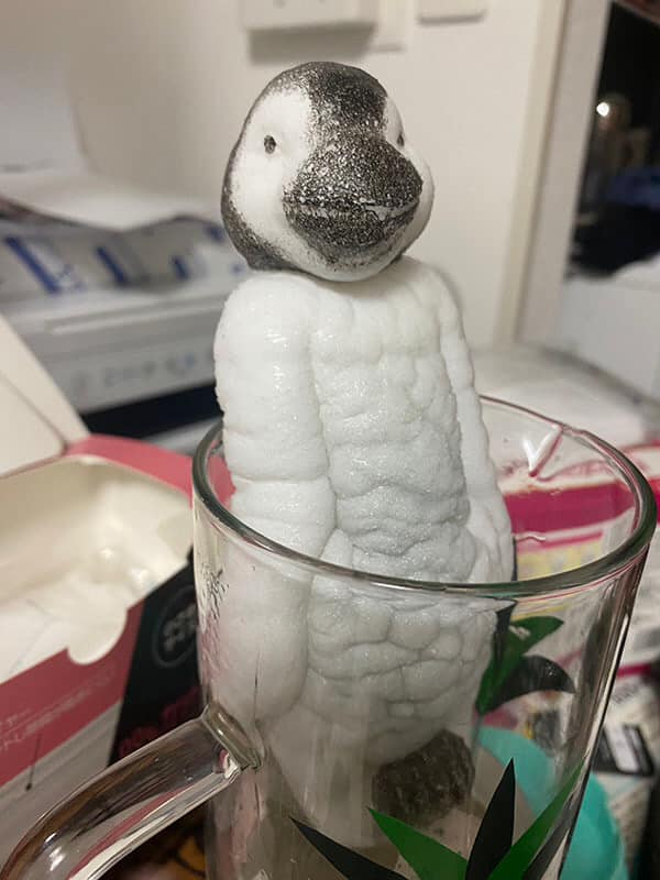 ไข่เพนกวิน