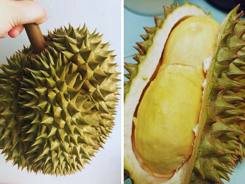 พาชมสวนทุเรียน