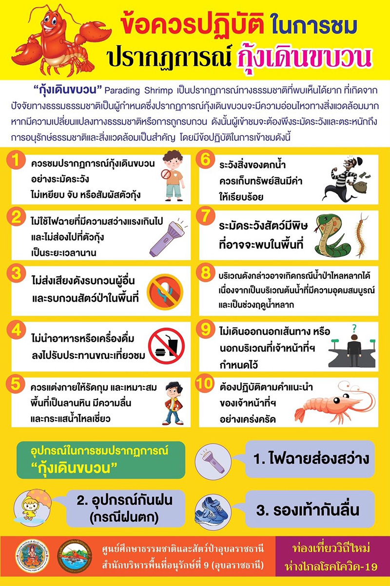 กุ้งเดินขบวน 2566
