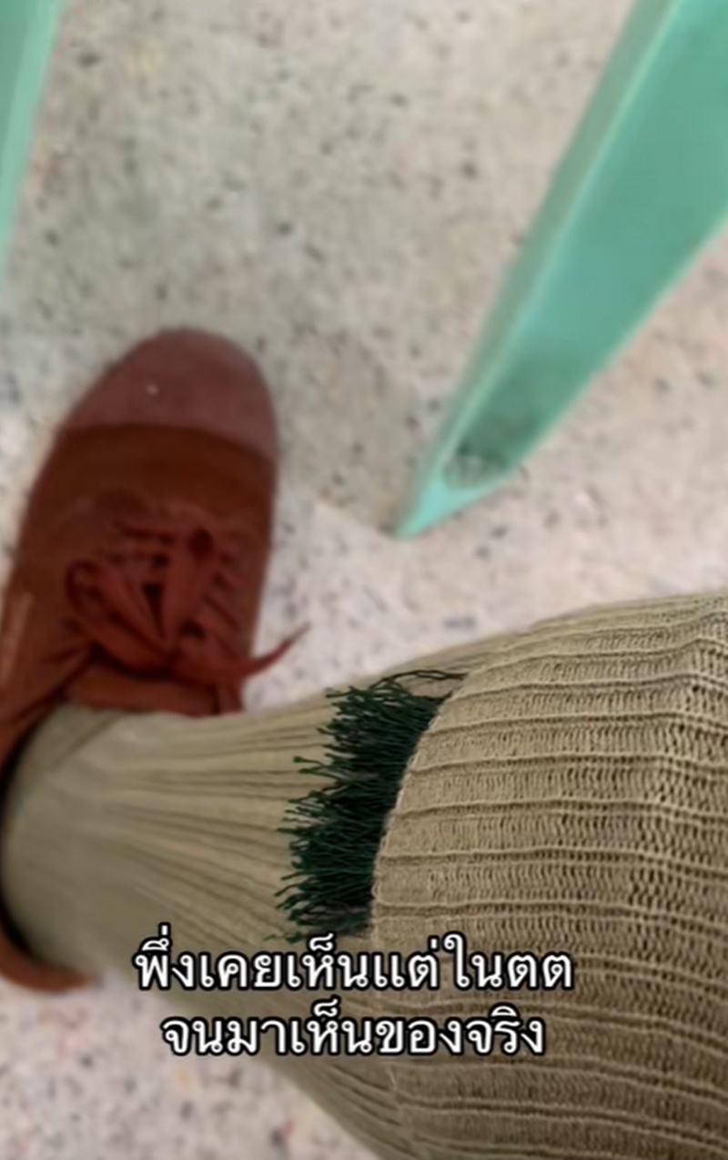 พู่ลูกเสือ