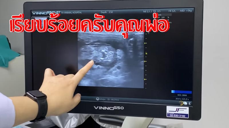 กันต์ พลอย