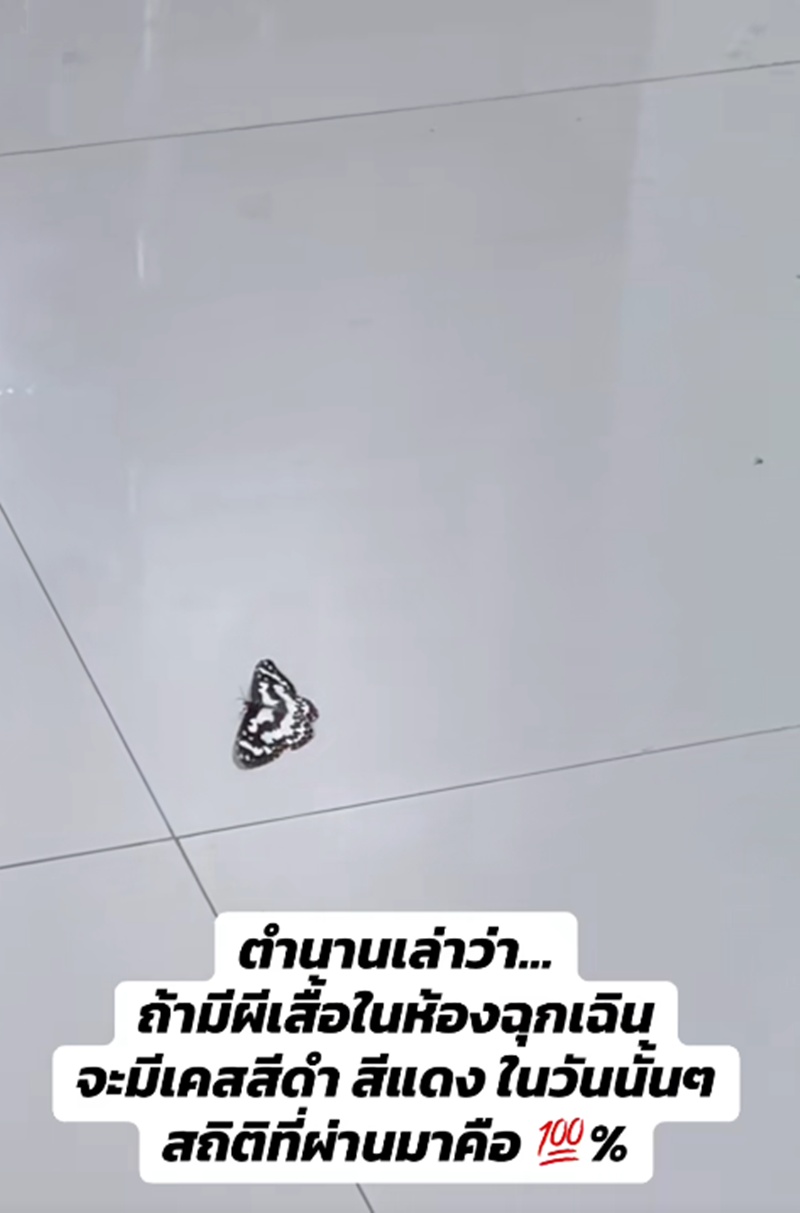 ผีเสื้อบิน