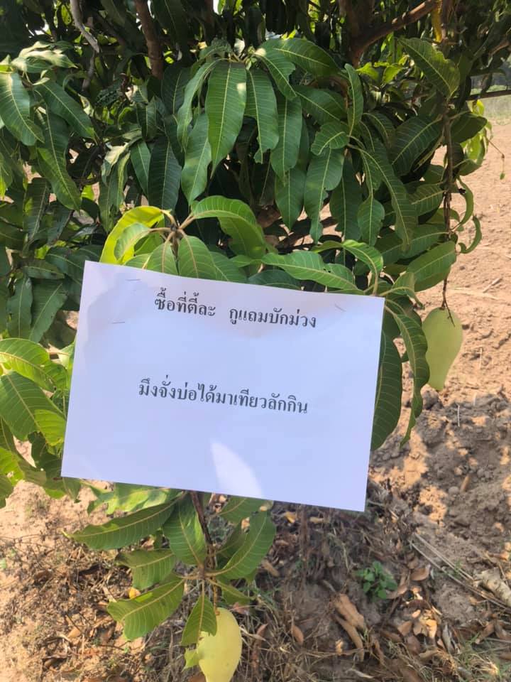 ป้ายเตือนขโมย