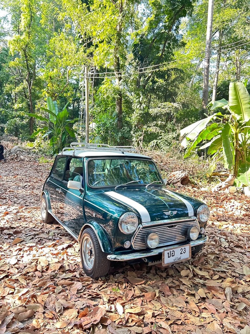 ปอ ทฤษฎี