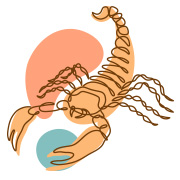 ดูดวงปี 2569