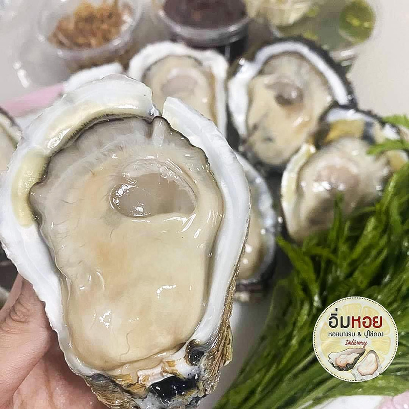 ร้านหอยนางรม