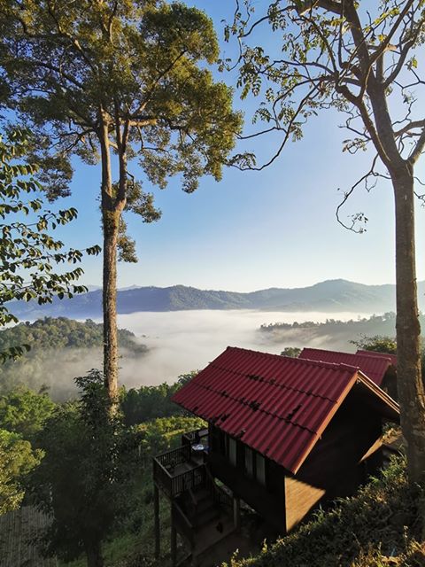 ที่พัก ทะเลหมอก