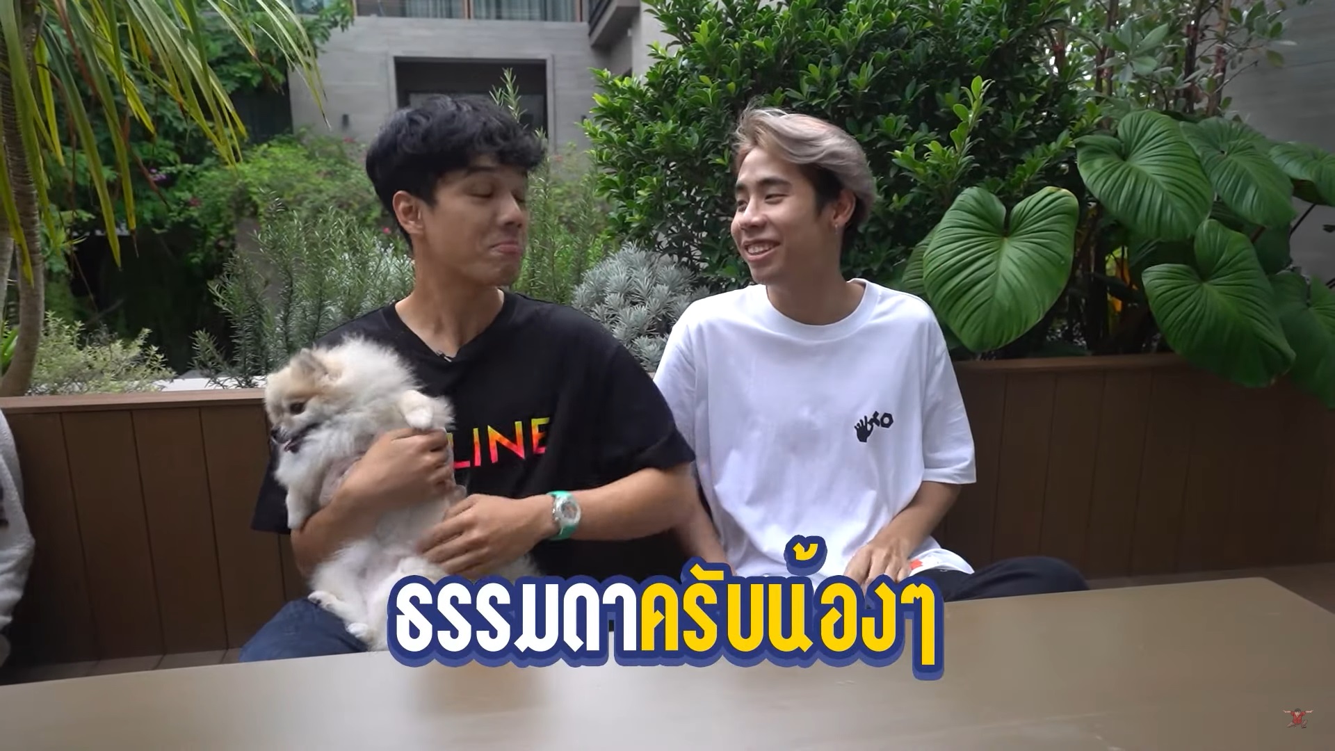 สไปร์ท SPD