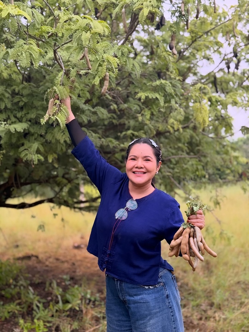 ฮาย อาภาพร