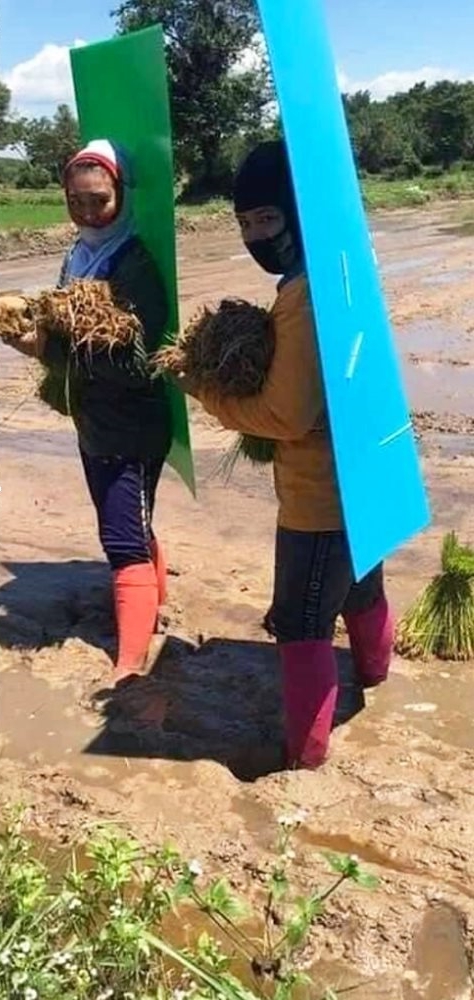 ฟิวเจอร์บอร์ดกันแดด