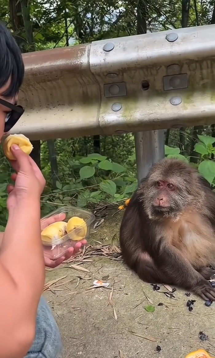 ทุเรียน