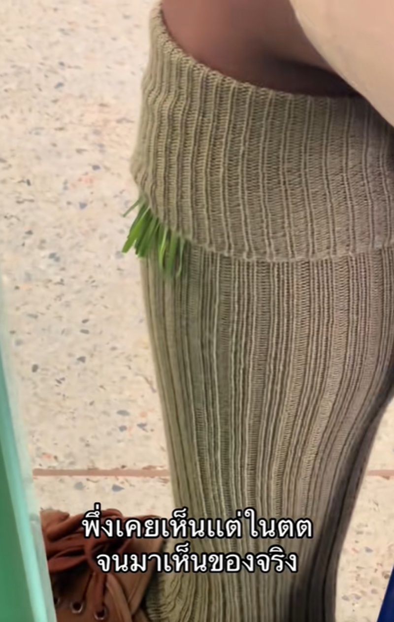 พู่ลูกเสือ