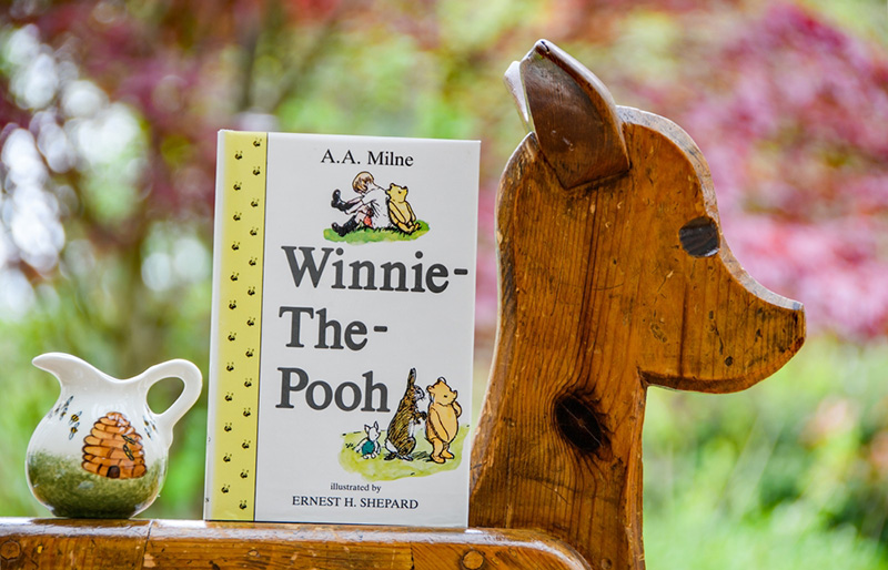 Winnie the Pooh Day