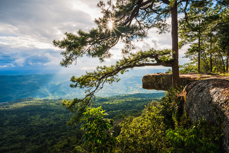 ที่เที่ยวเดือนพฤศจิกายน 2564