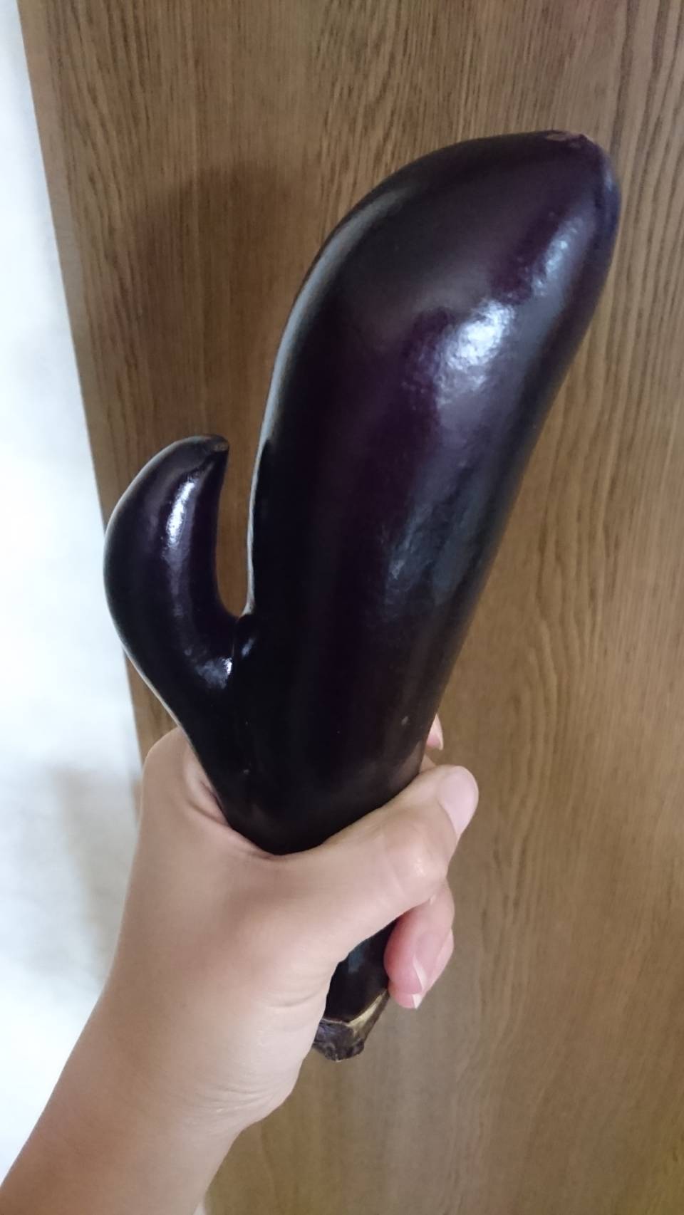 เซ็กส์ทอย