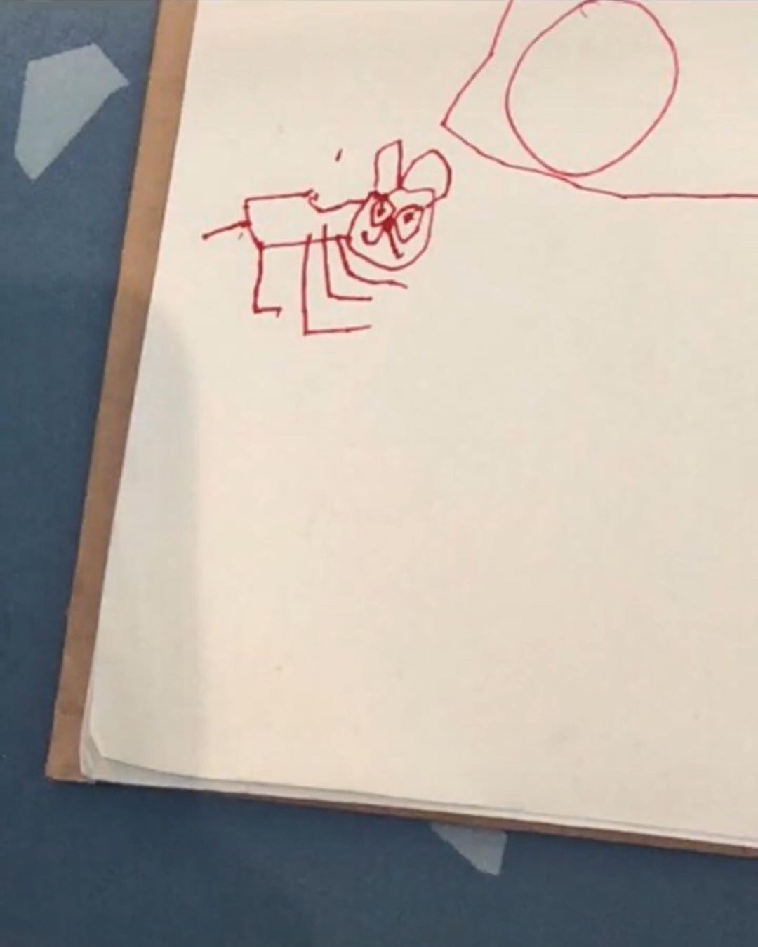 วาดรูปแมว