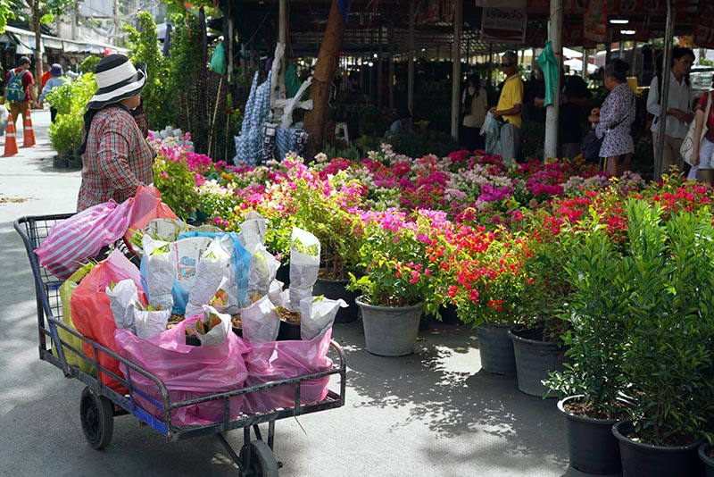 ตลาดต้นไม้
