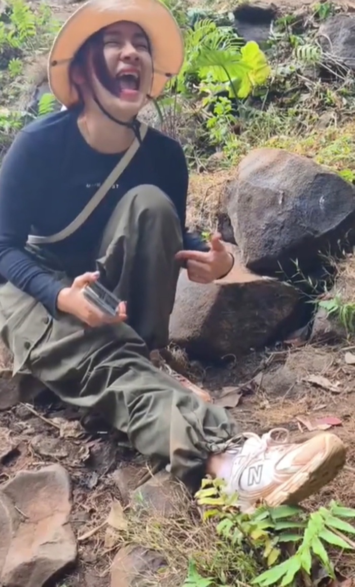 เดินป่า