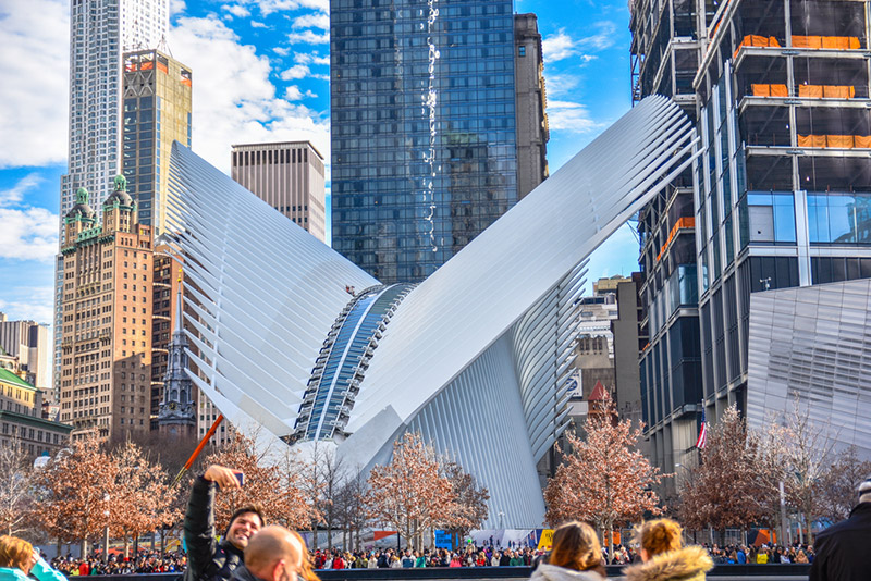 The Oculus