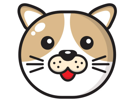 ดูดวง