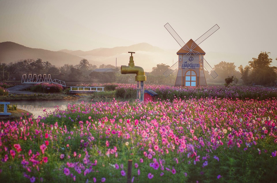 หนาวนี้ที่เมืองแกน ครั้งที่ 10