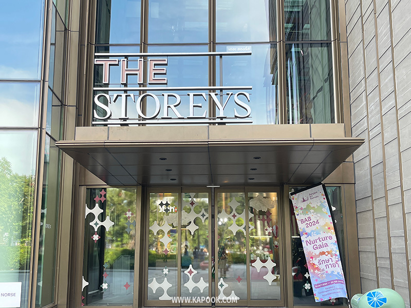 The Storeys