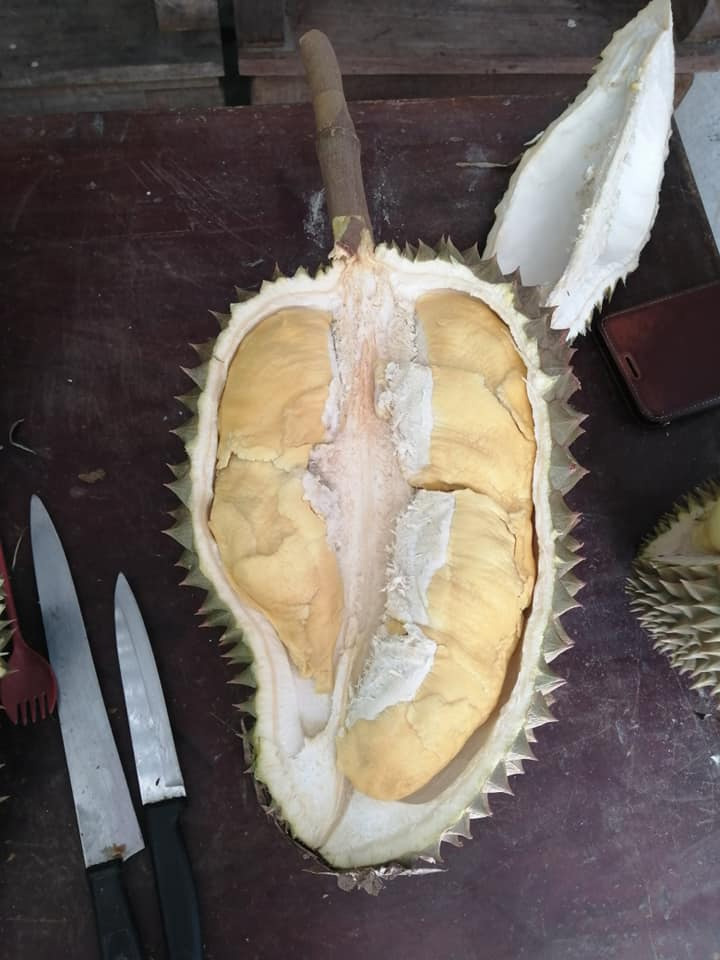 ทุเรียนปราจีนบุรี 2563
