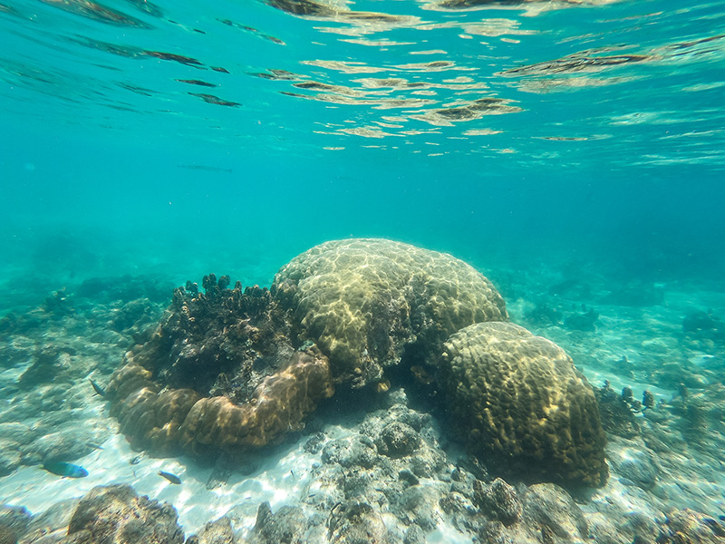 ดำน้ำที่ไหนดี ปี 2568 ? เกาะกูด จังหวัดระยอง