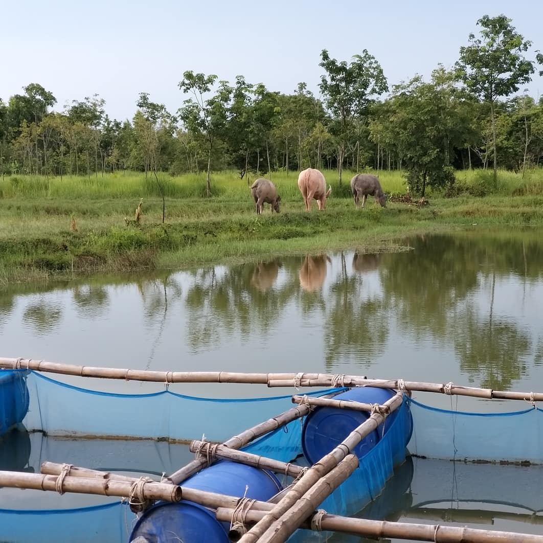 น้ำ รพีภัทร