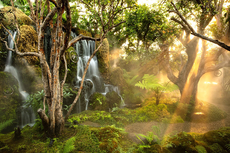 ร้านกาแฟเชียงใหม่ ธรรมชาติ