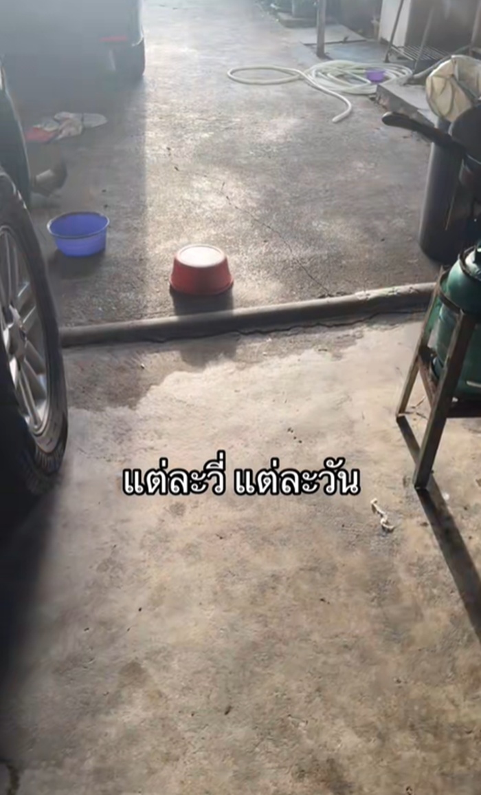 กะละมัง