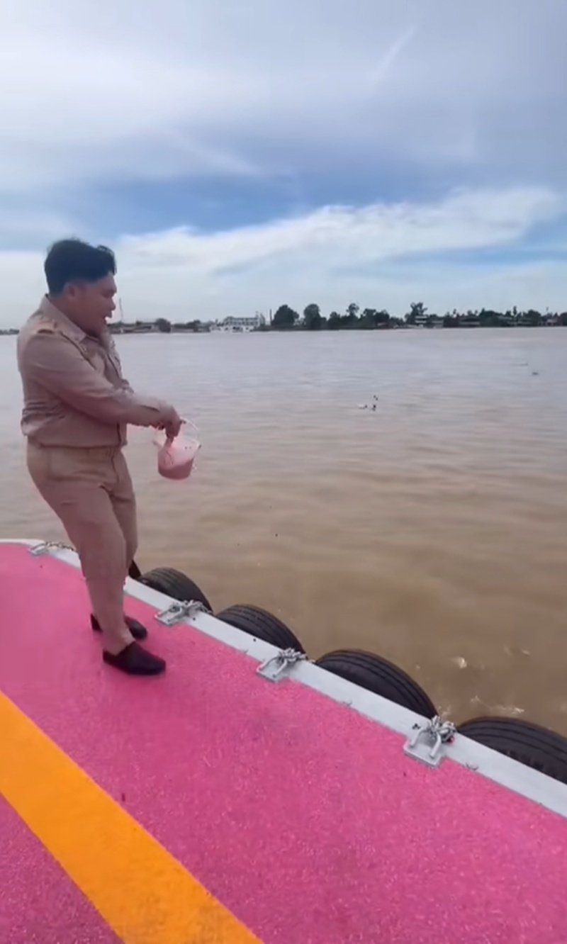 ให้อาหารปลา