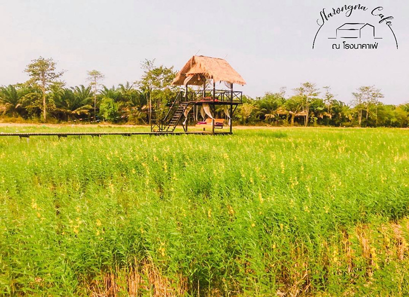 คาเฟ่เพชรบุรี