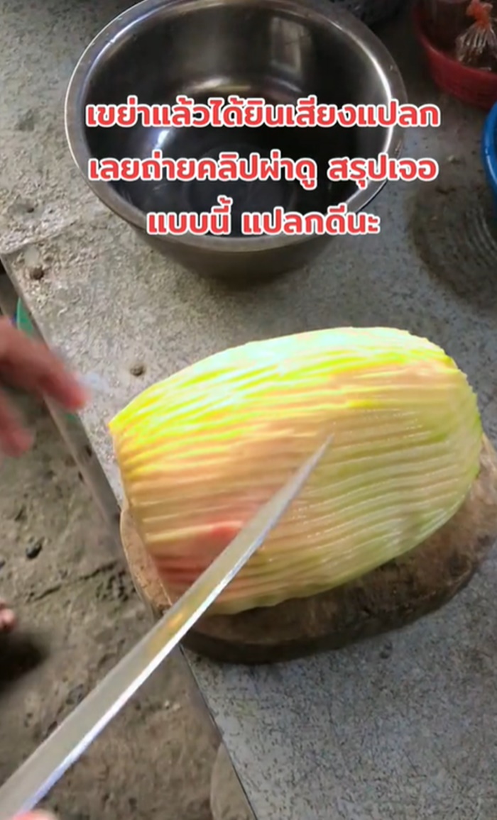 ผ่ามะละกอ