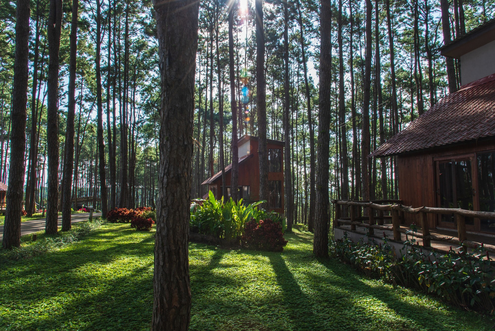 ที่เที่ยวเชียงใหม่