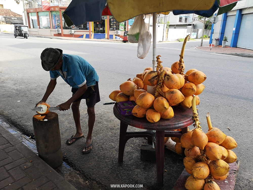 เที่ยวศรีลังกา