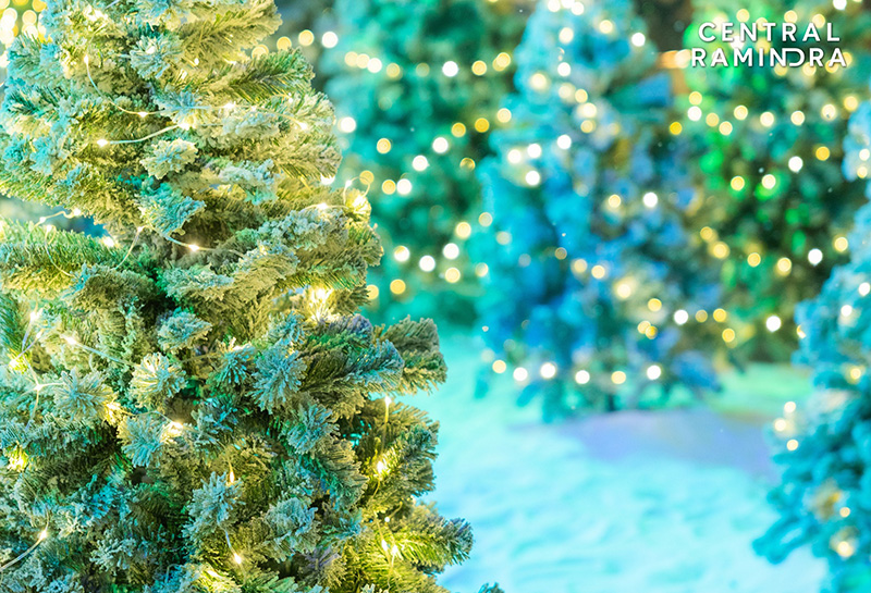 พิกัดถ่ายรูปหิมะตกในไทย เซ็นทรัลรามอินทรา